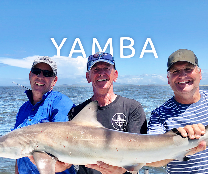 Yamba Fishing and Charter Adventures Yamaha Motor New Zealand