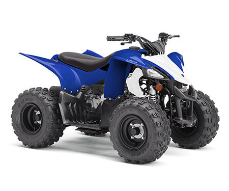 mini quad bike for adults